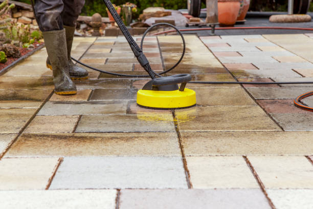 Best Building Exterior Washing  in Thomasville, AL
