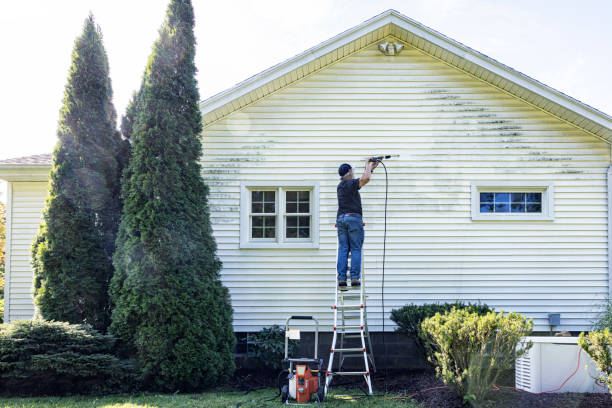 Trusted Thomasville, AL Pressure Washing Services Experts